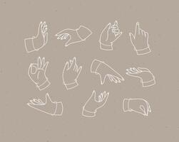 Set of renaissance hands with fingers icons in different positions drawing on coffee color background vector