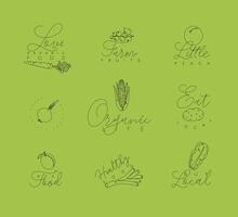 Vegetables and fruits symbols with lettering in pen hand drawing lines style on green background vector