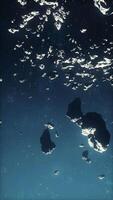 cinematic flight through dark deep space asteroid field with stars, vertical video