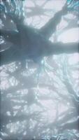 Journey through a neuron cell network inside the brain video