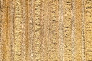 view of a recently harvested wheat field, aerial top view from a drone photo