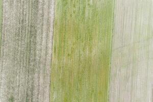 Agricultural field plowed for sowing, aerial photo with drone. Detailed texture for backgrounds. Springtime concept.