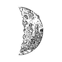 eclipse moon sketch hand drawn vector