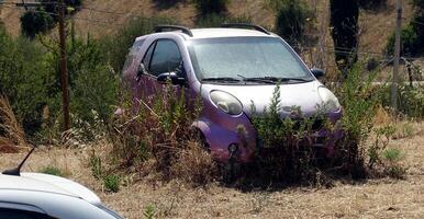 A pink car abandoned among the trees not far from the road in the summer. photo