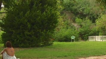 Girl in the park on the grass on the phone. Relaxing with a beautiful view video