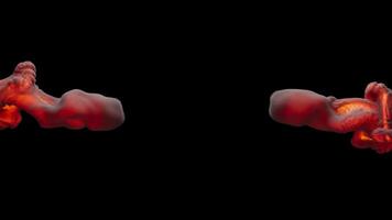 Slow motion 3D animation of an explosion. The file contains an Alpha Channel. video