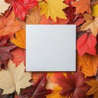 Autumn leaves arranged around a blank canvas on a dark background photo