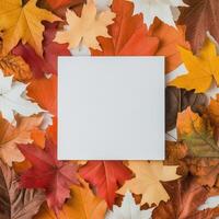 Autumn leaves arranged around a blank canvas on a dark background photo