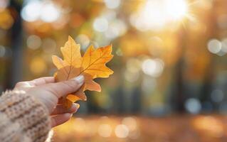 Autumn Leaf Held Against Blurred Background in Woodland photo