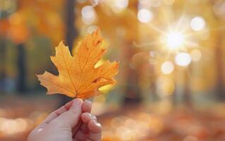 Autumn Leaf Held Against Blurred Background in Woodland photo