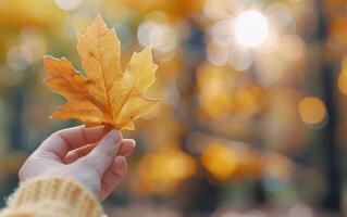 Autumn Leaf Held Against Blurred Background in Woodland photo