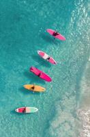 Colorful Paddleboards Lined Up on Clear Tropical Water at Sunny Beach photo