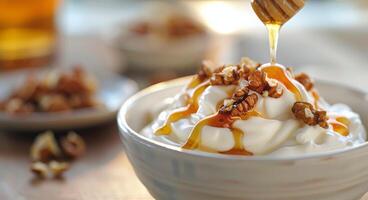 Creamy Yogurt Bowl With Honey and Nuts on Rustic Table photo