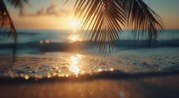Sunset Over Ocean Waves With Palm Leaves in Foreground at Tropical Beach photo