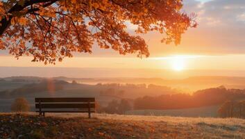 Autumn Sunset Overlooking a Valley With a Wooden Bench in the Foreground photo