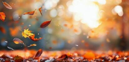 Autumn Leaves Falling in the Forest at Sunset photo