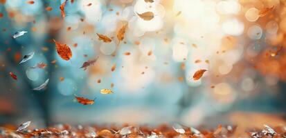 Autumn Leaves Falling in the Forest at Sunset photo