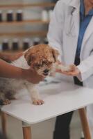 Veterinary doctor and assistant working together examining dog on table in veterinary clinic Pet health care and medical concept. Close-up. photo