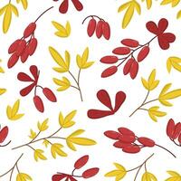 seamless pattern with yellow leaves and branches of berries. Autumn repeating pattern with a barberry berry. Botanical drawing. Image for wallpaper, packaging and postcards. vector