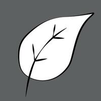 Caricature style Fall Leaf. Outline Black and White Botany element isolated on Grey Background. Autumn Fallen Leaves concept illustration in Linear art Style for Card, Coloring Book, Design vector