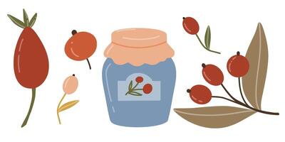 Berries of different shapes and colors with jar of jam. illustration in flat style. Elements for autumn design for harvest festival, food. Fruits of berries of red and peach color. vector