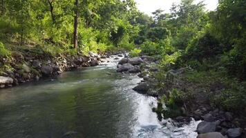 forest and river angle from above, forest view, river view. 4K footage from high angle, drone view, river footage, forest footage video