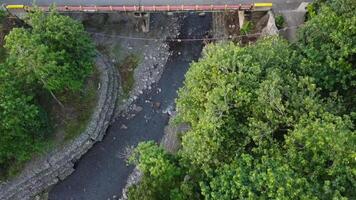 forest and river angle from above, forest view, river view. 4K footage from high angle, drone view, river footage, forest footage video