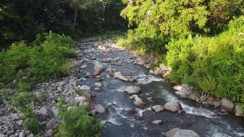 forest and river angle from above, forest view, river view. 4K footage from high angle, drone view, river footage, forest footage video