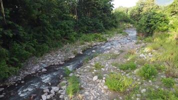 forest and river angle from above, forest view, river view. 4K footage from high angle, drone view, river footage, forest footage video