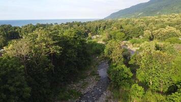 forest and river angle from above, forest view, river view. 4K footage from high angle, drone view, river footage, forest footage video
