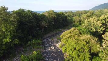 forest and river angle from above, forest view, river view. 4K footage from high angle, drone view, river footage, forest footage video