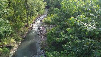 forest and river angle from above, forest view, river view. 4K footage from high angle, drone view, river footage, forest footage video