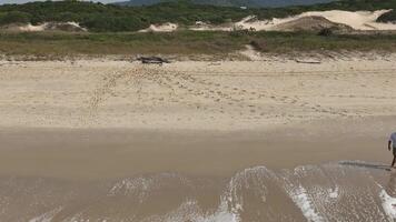 Man walking and running on sand dunes near the beach. Aerial image with drone following the man. Image from above. Health concept. video