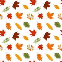 A pattern of autumn leaves is spread across a white background. The leaves are of various sizes and colors, including red, yellow, and green. Scene is warm and inviting, evoking the feeling of fall vector