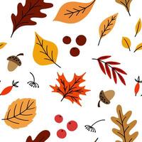 Seamless pattern with acorns and autumn leaves and berries vector