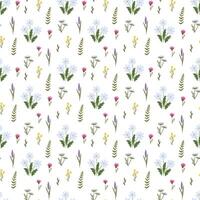 Seamless pattern with wild flowers on a white background. Romantic floral print vector