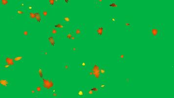 falling autumn leaves 4k with green screen background. perfect for your project presentation, provide beautiful environment video