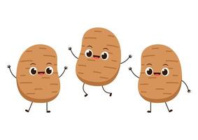 Potato character design. Potato . Potato cartoon on white background. vector