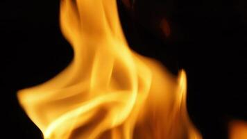 Close up footage of fire burning against black background that showing fire waving and burning that represent heat and destroy or damage anything. Red fire grilling and cooking. Handheld camera style video