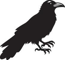 Silhouette of a Raven bird design vector