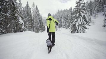 Man with dog walks funny on snow-covered path video
