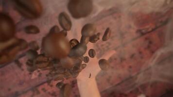 Coffee beans thrown high in slow motion video