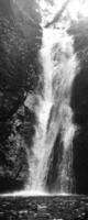 black and white photography of waterfall in valley with rocks and trees photo