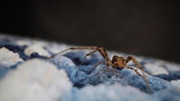 Close-up of Soft, Textured, Fuzzy Fabric in Blue and White video