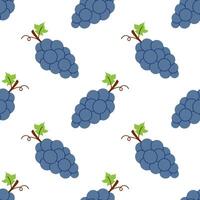 seamless pattern with grape branches. Summer tropical berries on a white background. Wine or juice wrapping design. Cute exotic summer food. Baby, kids, childish print with vine and grape. vector