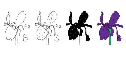 Set of hand drawn irises isolated on white background vector