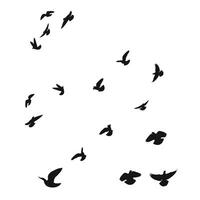 Silhouette sketch of a flock of flying birds, flight in different positions. Takeoff, flying, flight, flutter, hover, soaring, landing vector