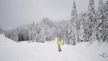 Little girl plays with dog in the snow in the woods video