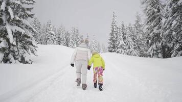 Mother and daughter walk in the snow in the forest video
