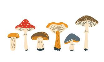 autumn forest mushroom set, flat style illustrations vector